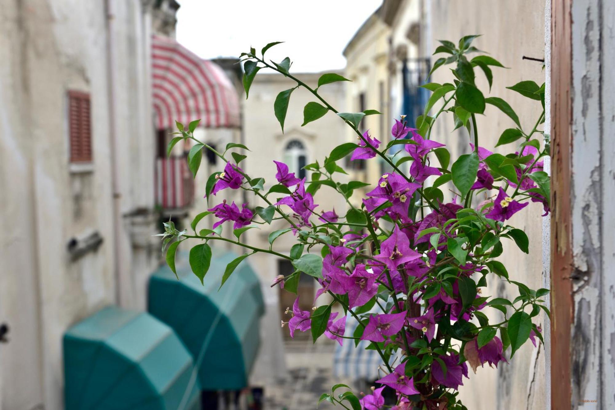 Ciaobari Apartment - Elegant 4 Bedrooms In The Heart Of Old Town Екстер'єр фото