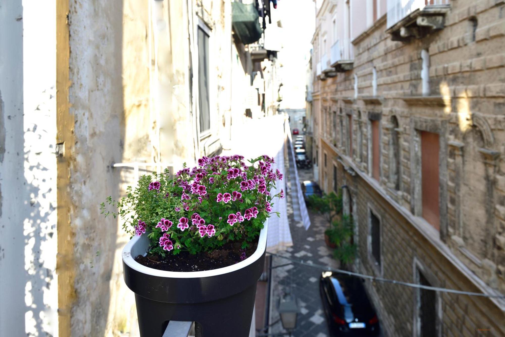 Ciaobari Apartment - Elegant 4 Bedrooms In The Heart Of Old Town Екстер'єр фото